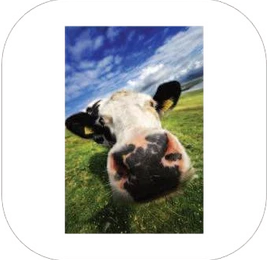 Plaque aluminium photo · Plaque aluminium photo 15 × 20