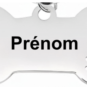 Pendentif chien – Gravure recto verso prénom et numéro